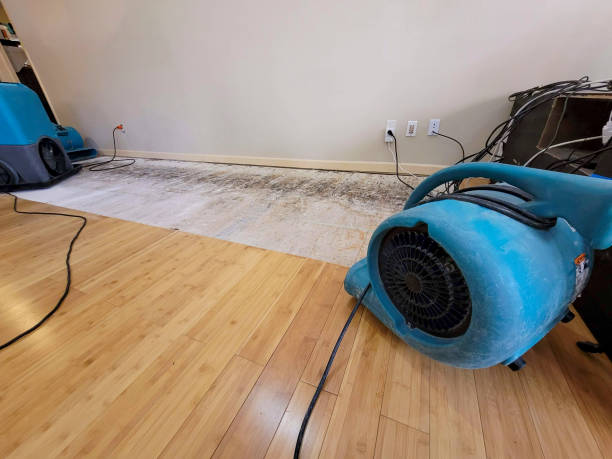 Reliable Basement Flood Cleanup contractor in Rocklin, CA by Hirex Water Damage
