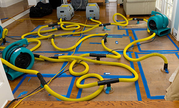 Professional Basement Flood Cleanup technician working in Rocklin, CA